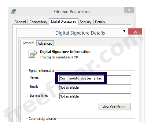 Screenshot of the Commodity Systems Inc certificate